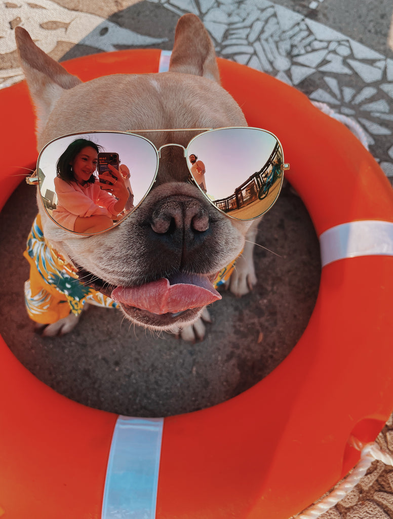 Level Up Your Beach Selfies with these 10 Tips for Better Selfies in Your Shades