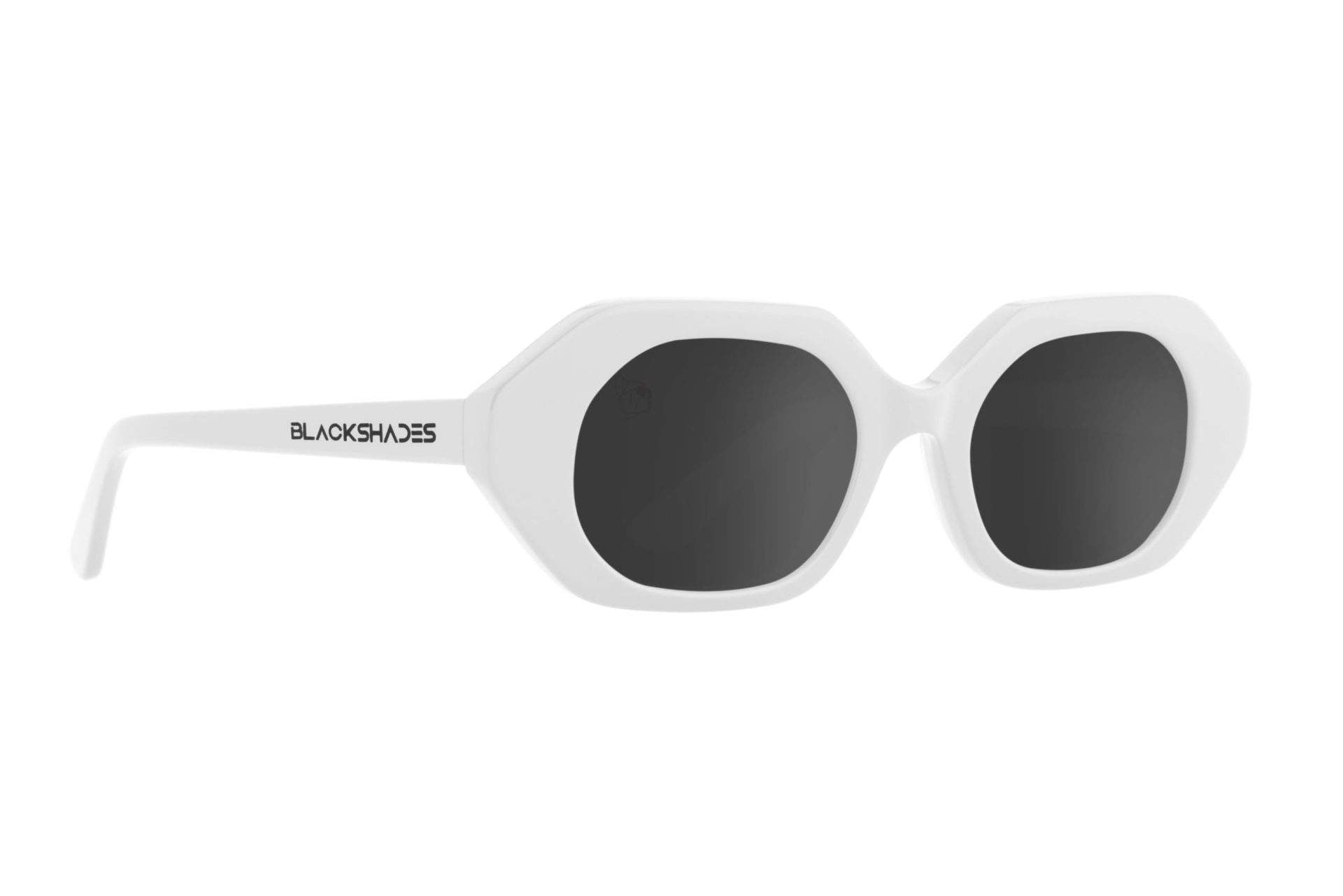 SALT. Polarized Sunglasses Salt Optics Sierra Sunglasses in Black – Cedar & Hyde Mercantile main image 2